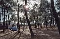WT 2300 311-23 Spain
